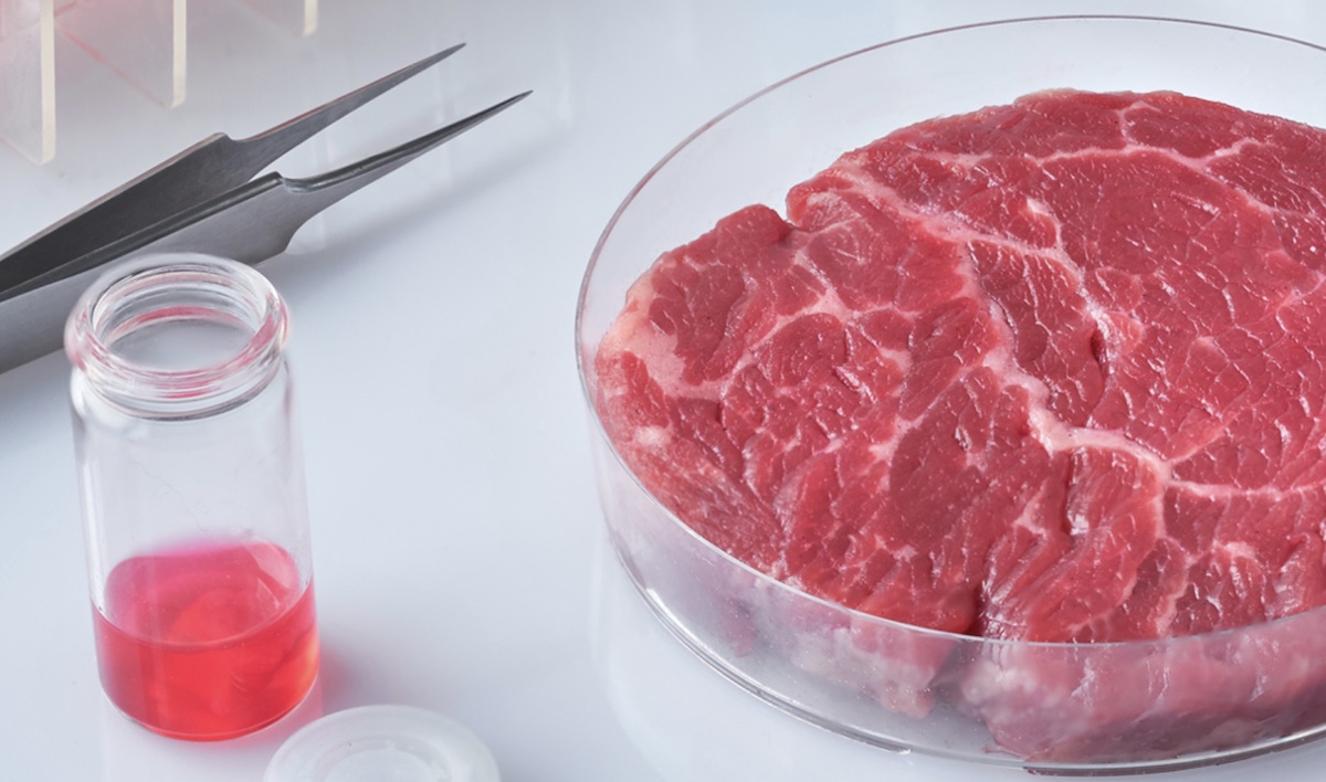 Question: What is lab-grown meat, and how does it compare to real